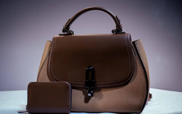 Maryland lock satchel & purse in Brown